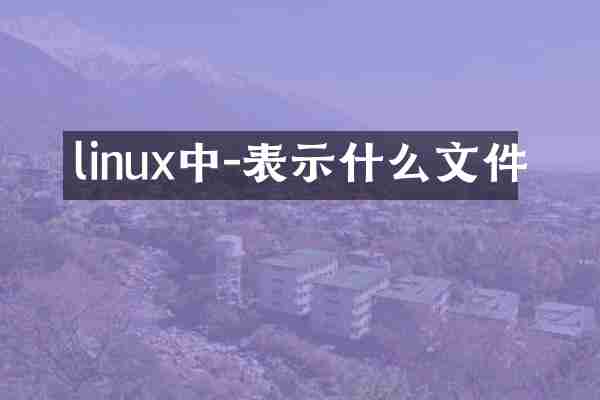 linux中-表示什么文件