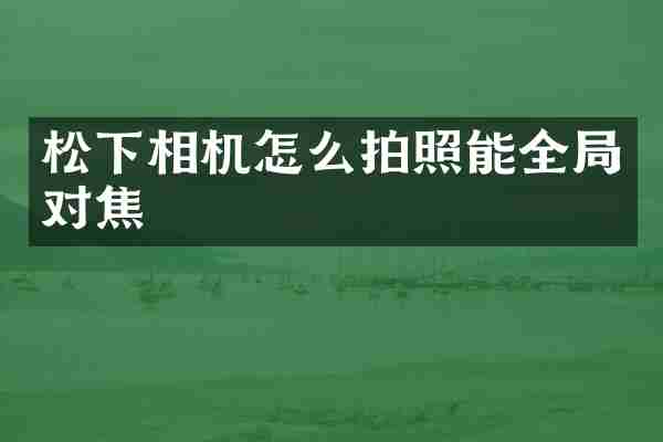松下相机怎么拍照能全局对焦