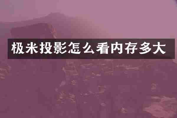 极米投影怎么看内存多大