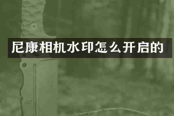 尼康相机水印怎么开启的
