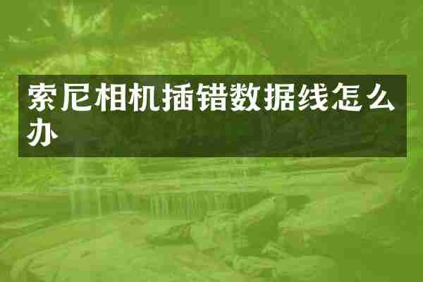索尼相机插错数据线怎么办