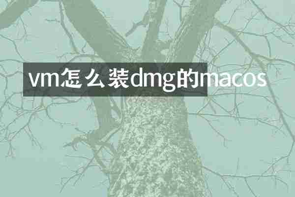 vm怎么装dmg的macos