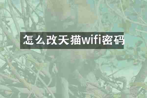 怎么改天猫wifi密码