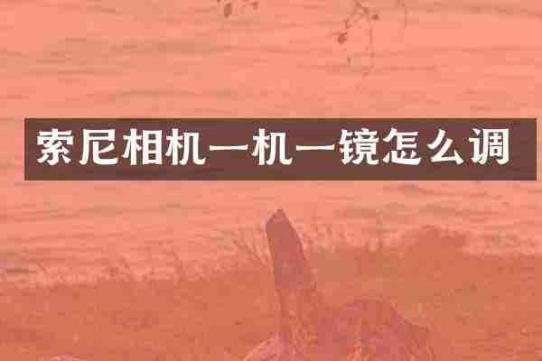 索尼相机一机一镜怎么调