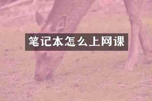 笔记本怎么上网课
