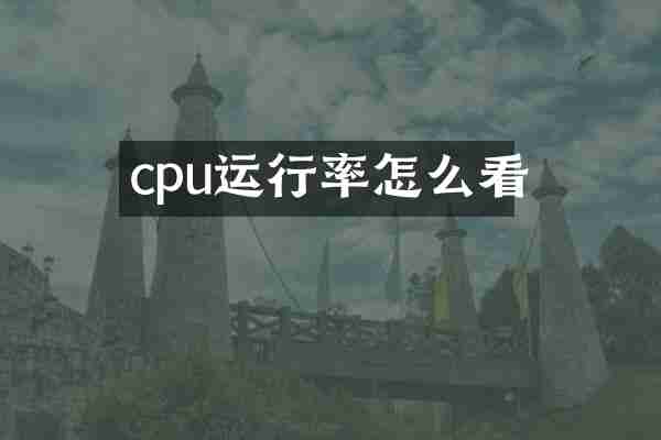 cpu运行率怎么看