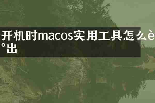 开机时macos实用工具怎么调出