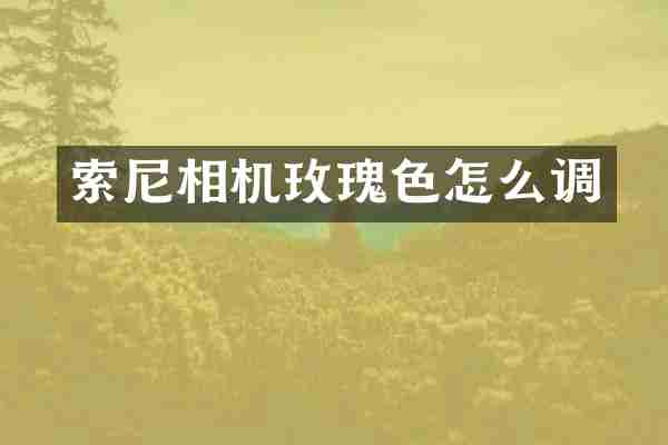 索尼相机玫瑰色怎么调