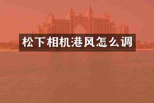 松下相机港风怎么调