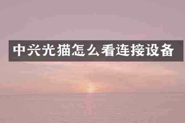 中兴光猫怎么看连接设备