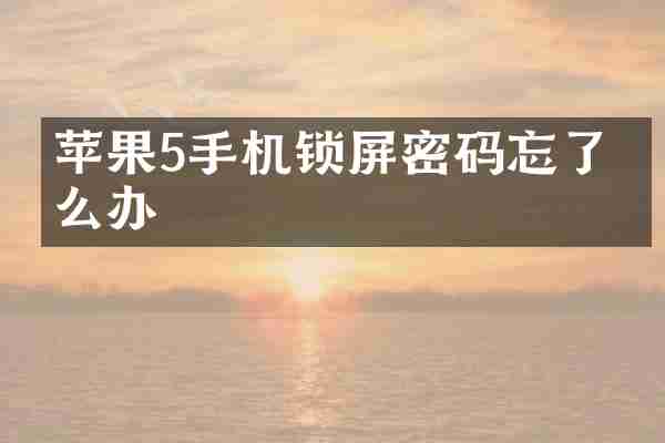 苹果5手机锁屏密码忘了怎么办