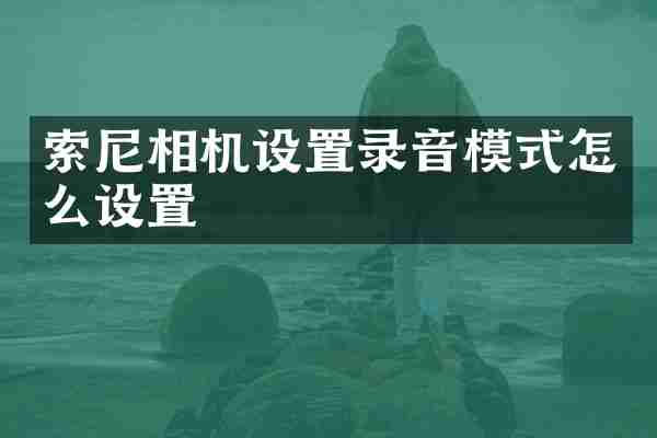 索尼相机设置录音模式怎么设置