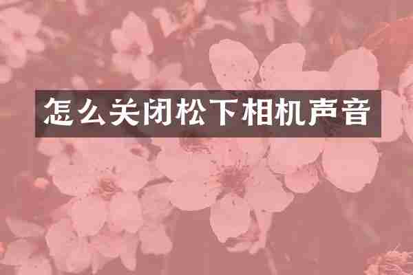怎么关闭松下相机声音