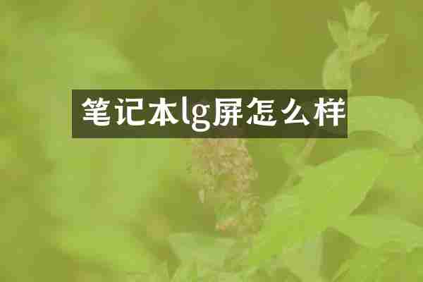 笔记本lg屏怎么样