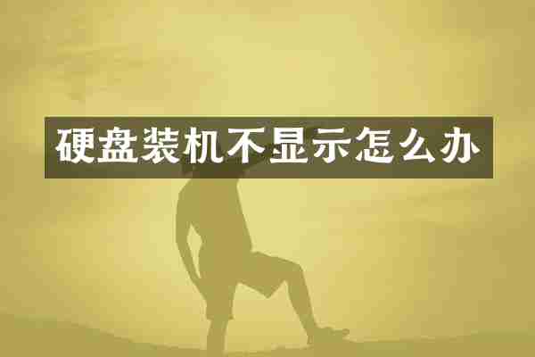 硬盘装机不显示怎么办