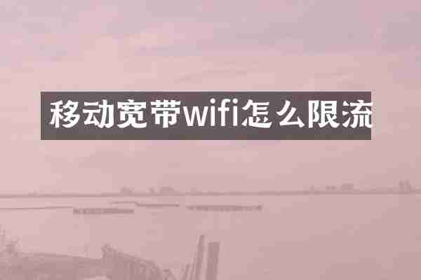 移动宽带wifi怎么限流