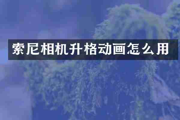相机升格动画怎么用