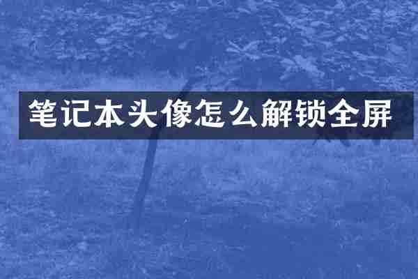 笔记本头像怎么解锁全屏