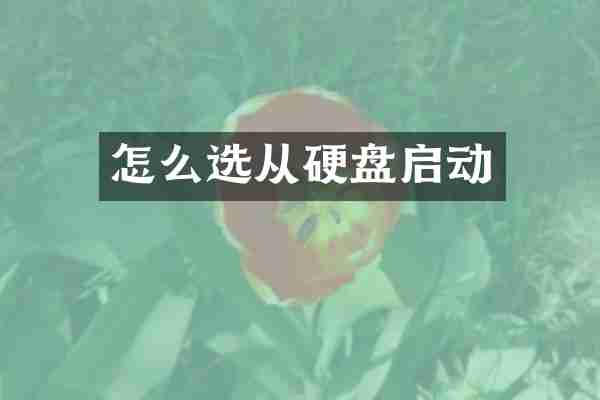 怎么选从硬盘启动