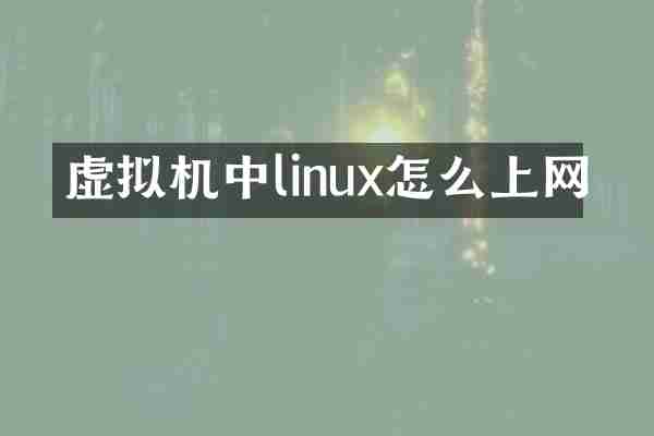 虚拟机中linux怎么上网