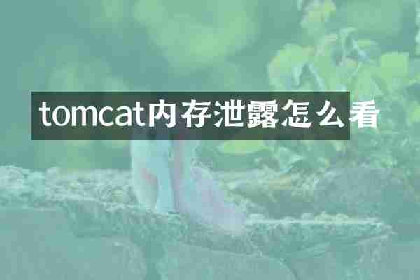 tomcat内存泄露怎么看