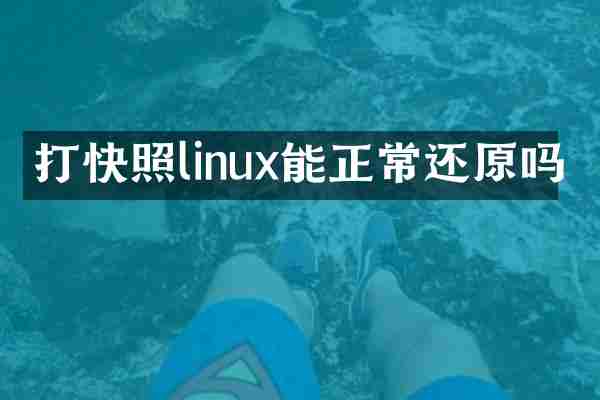 打快照linux能正常还原吗