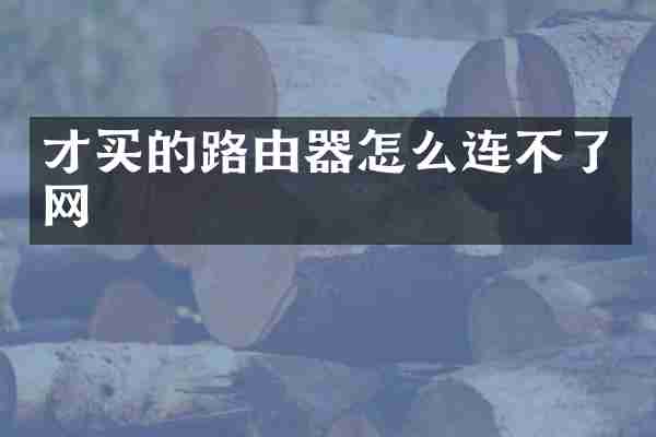 才买的路由器怎么连不了网