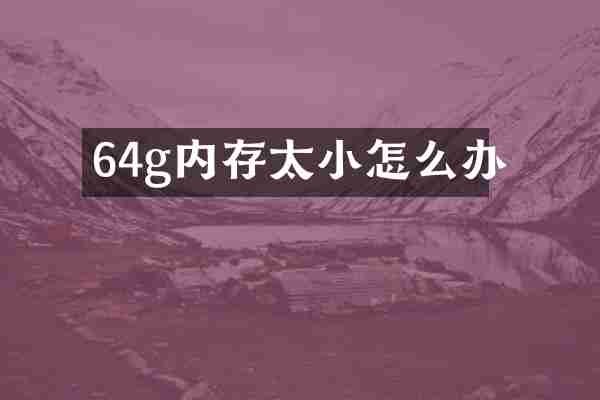 64g内存太小怎么办