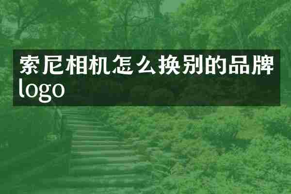 索尼相机怎么换别的品牌logo