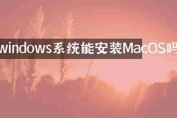 windows系统能安装MacOS吗