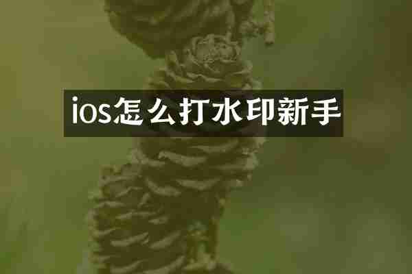 ios怎么打水印新手