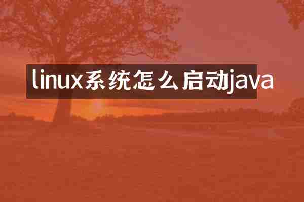 linux系统怎么启动java
