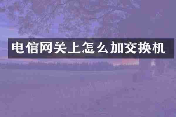 电信网关上怎么加交换机