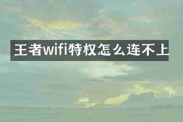 王者wifi特权怎么连不上