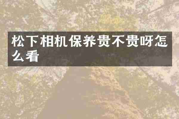 松下相机保养贵不贵呀怎么看