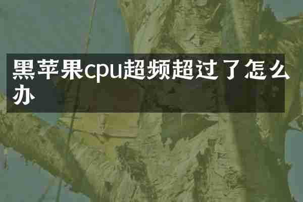 黑苹果cpu超频超过了怎么办