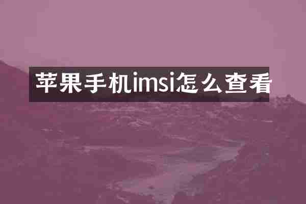 苹果手机imsi怎么查看