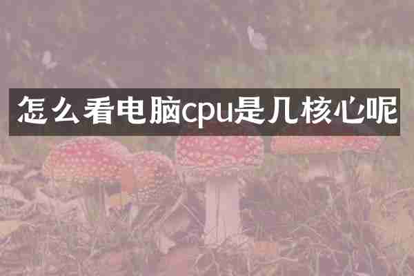 怎么看电脑cpu是几核心呢