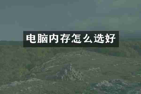 电脑内存怎么选好