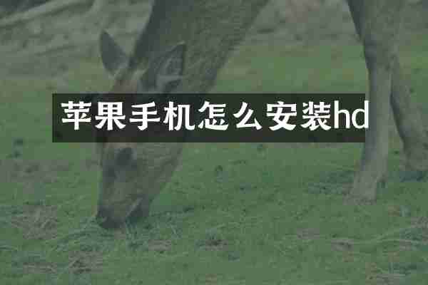 苹果手机怎么安装hd