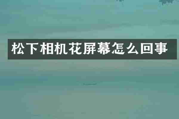 松下相机花屏幕怎么回事