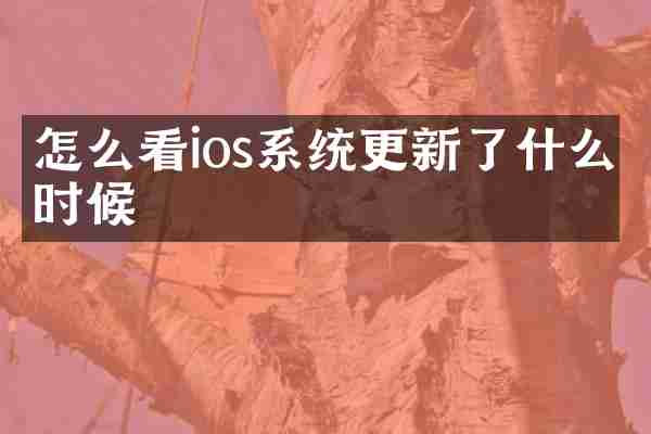 怎么看ios系统更新了什么时候