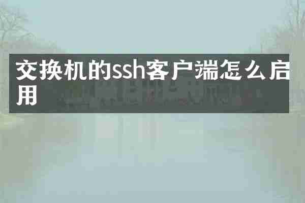 交换机的ssh客户端怎么启用
