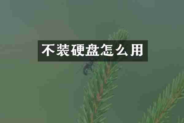 不装硬盘怎么用