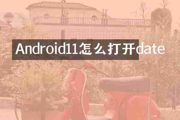 Android11怎么打开date