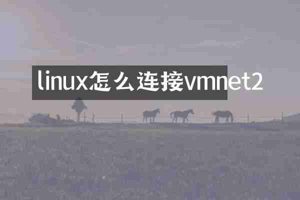 linux怎么连接vmnet2