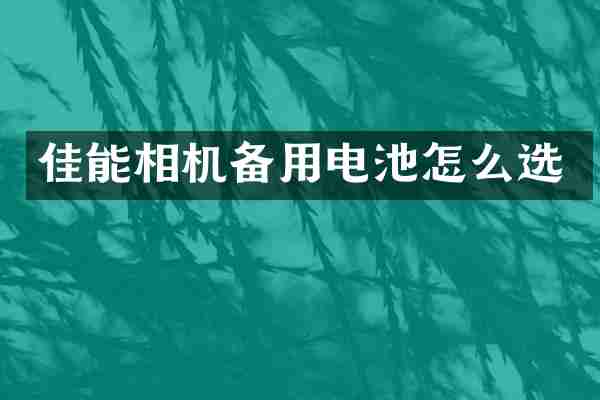 佳能相机备用电池怎么选