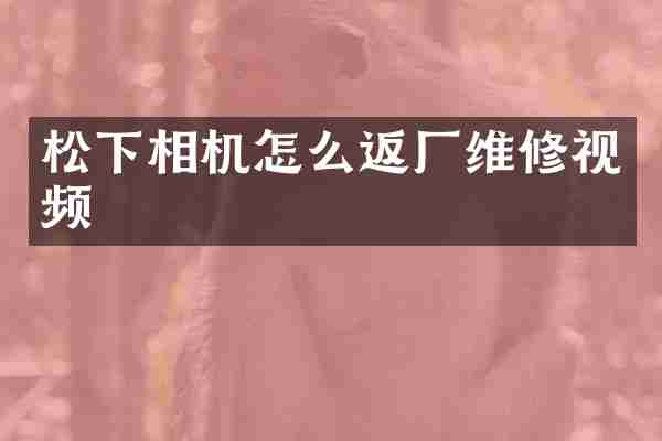 相机怎么返厂维修视频