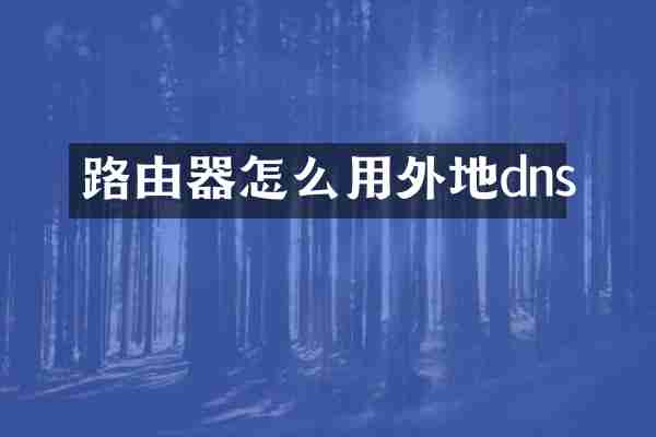 路由器怎么用外地dns
