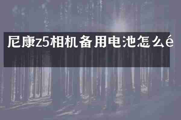 尼康z5相机备用电池怎么选